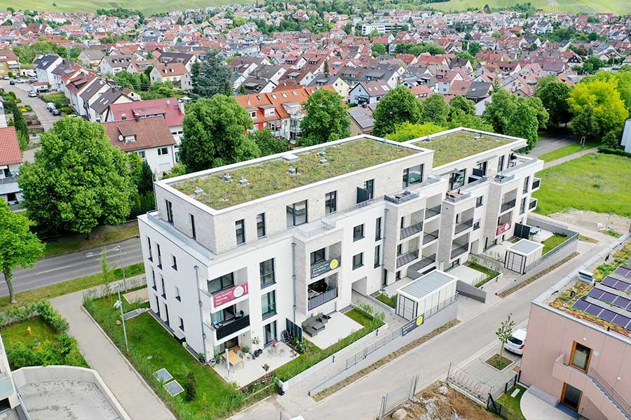 Korber Viertele, Korb