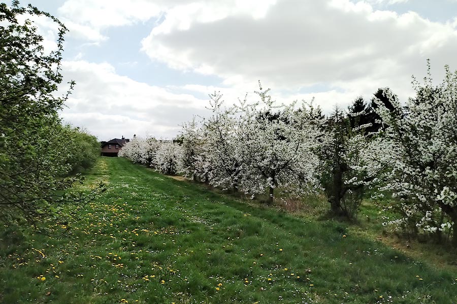 Akquise in Meckenheim - News Bild