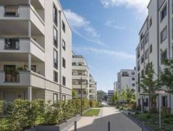 WILMA Projekt Vivente Frankfurt