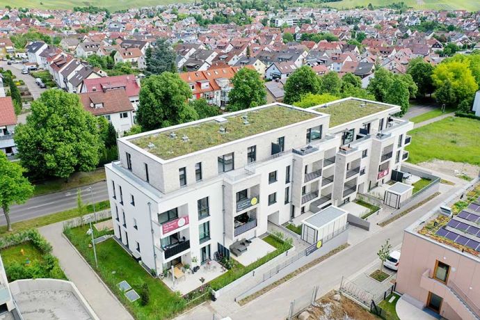 Korb, Korber Viertele - Bild 1